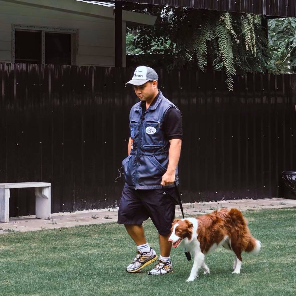 giới thiệu về huấn luyện viên của trung tâm hà nội dog tranining